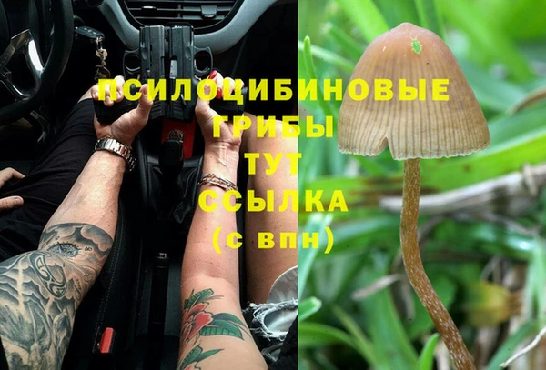 ALPHA PVP Богданович