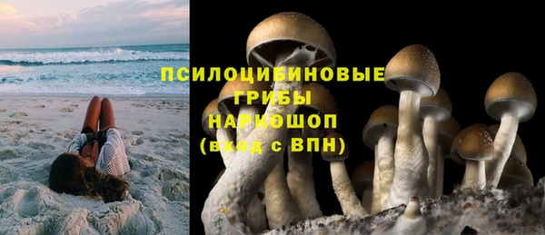 Альфа ПВП Богородицк